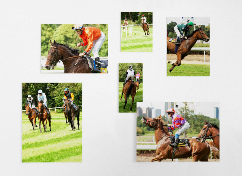 Fotos Rennpferde und Jockeys