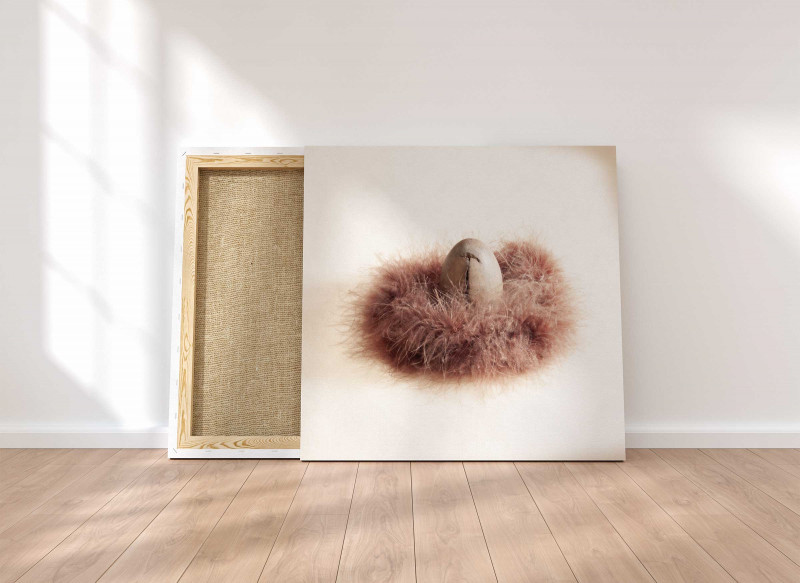 Holzei im Federkranz