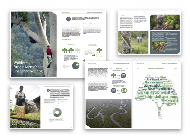 Titel und Innenansicht BMZ Broschüre „Eine Welt braucht Wald“
