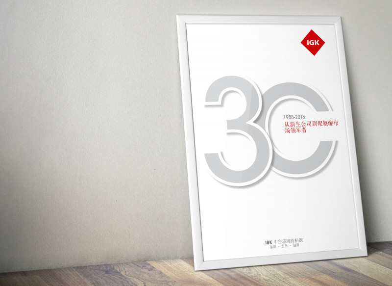 Poster Jubiläum 30 Jahre