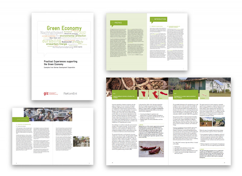 GIZ Broschüre Titel und Innenseiten