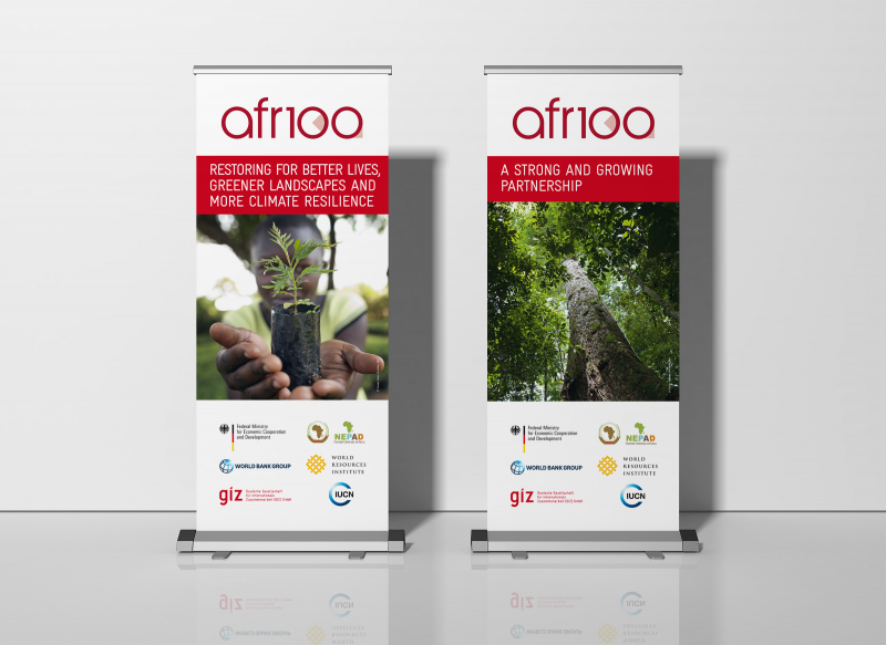 Roll-Up Banner  für Afrika 100